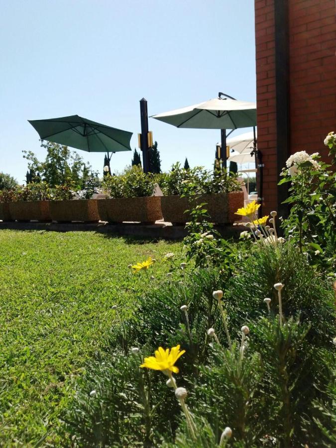 Meditur Hotel Pisa Migliarino Pisano Eksteriør bilde